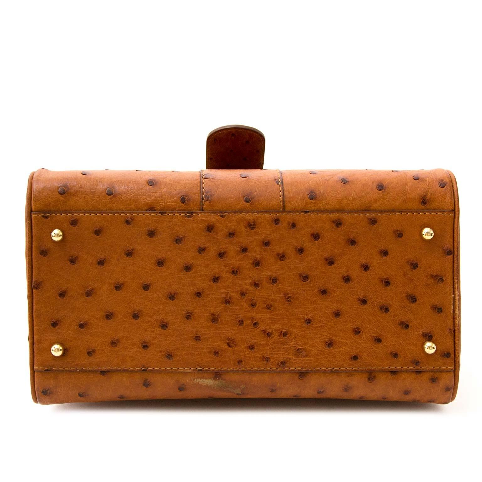 Women's Delvaux Brillant PM Ostrich Brandy