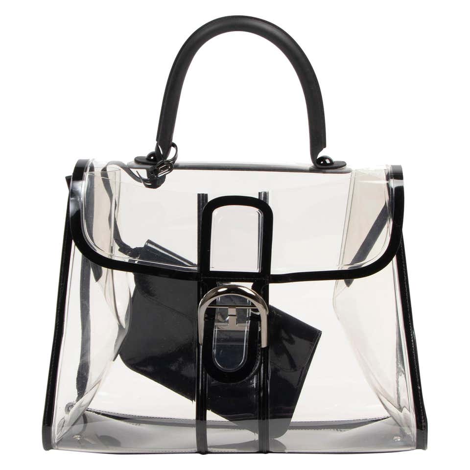 Delvaux Brillant X-Ray Limited Edition For Sale at 1stDibs