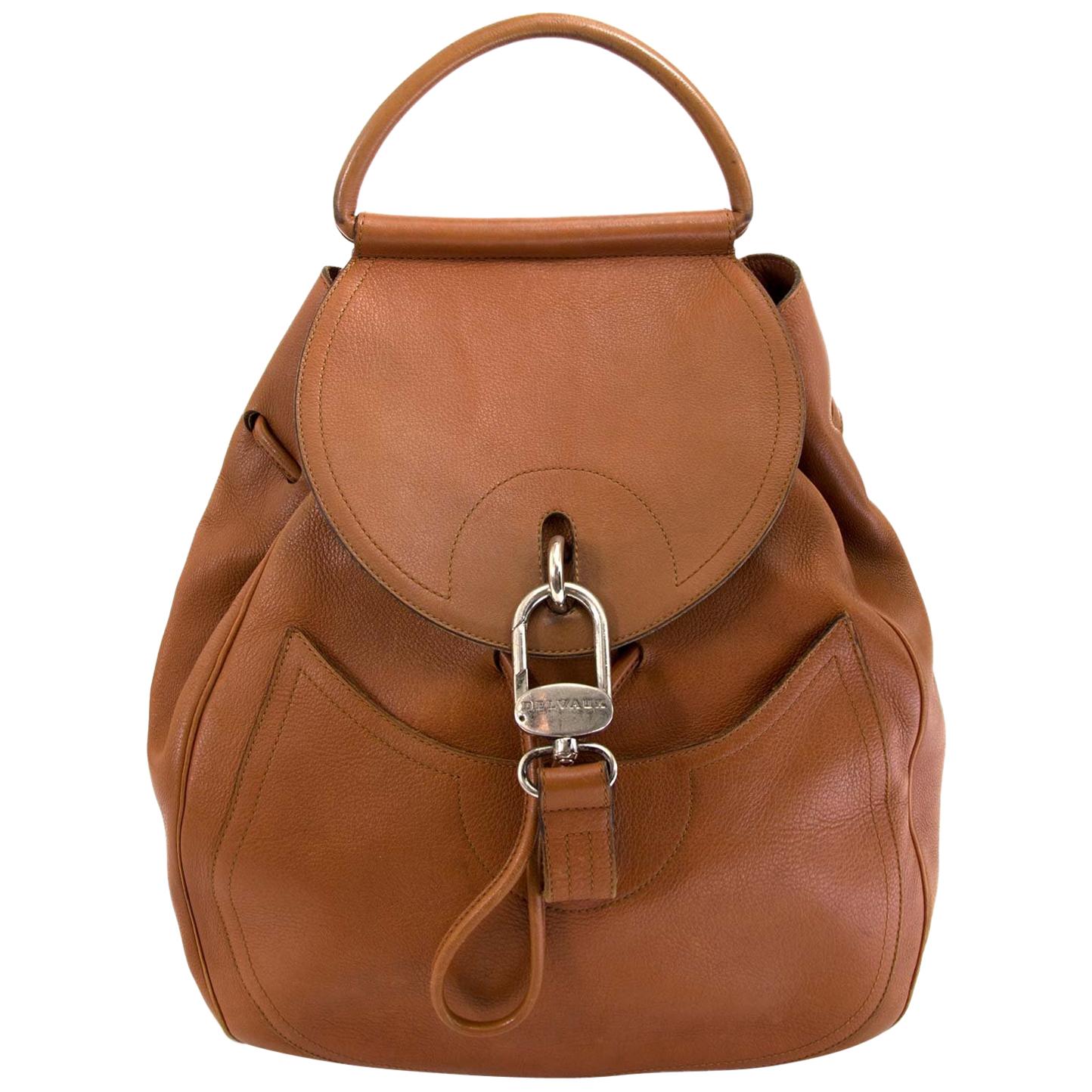 Delvaux Brown Cerceau Backpack