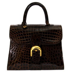 Delvaux Brown Croco Brillant MM