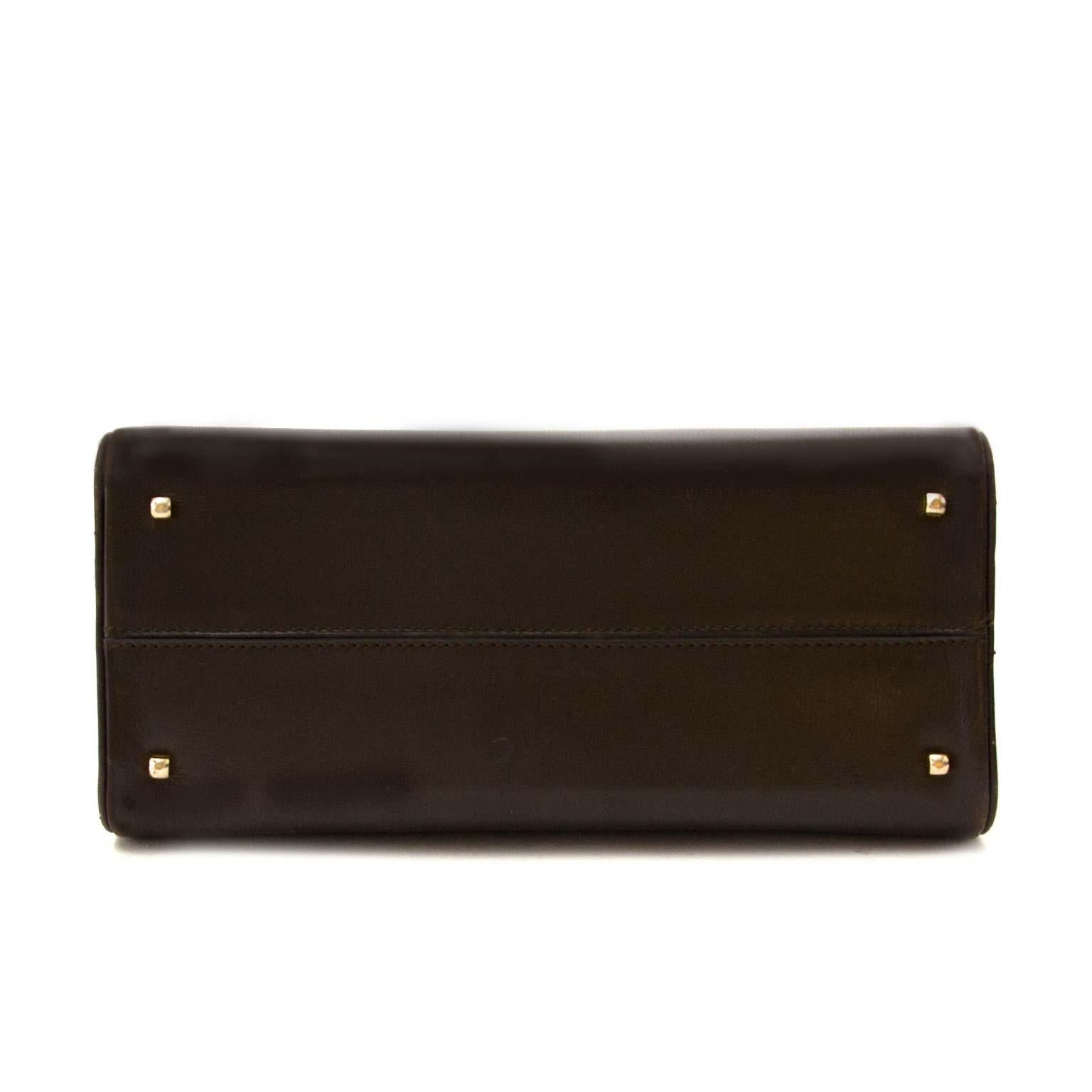 Black Delvaux Brown Tempête Mini Leather Bag