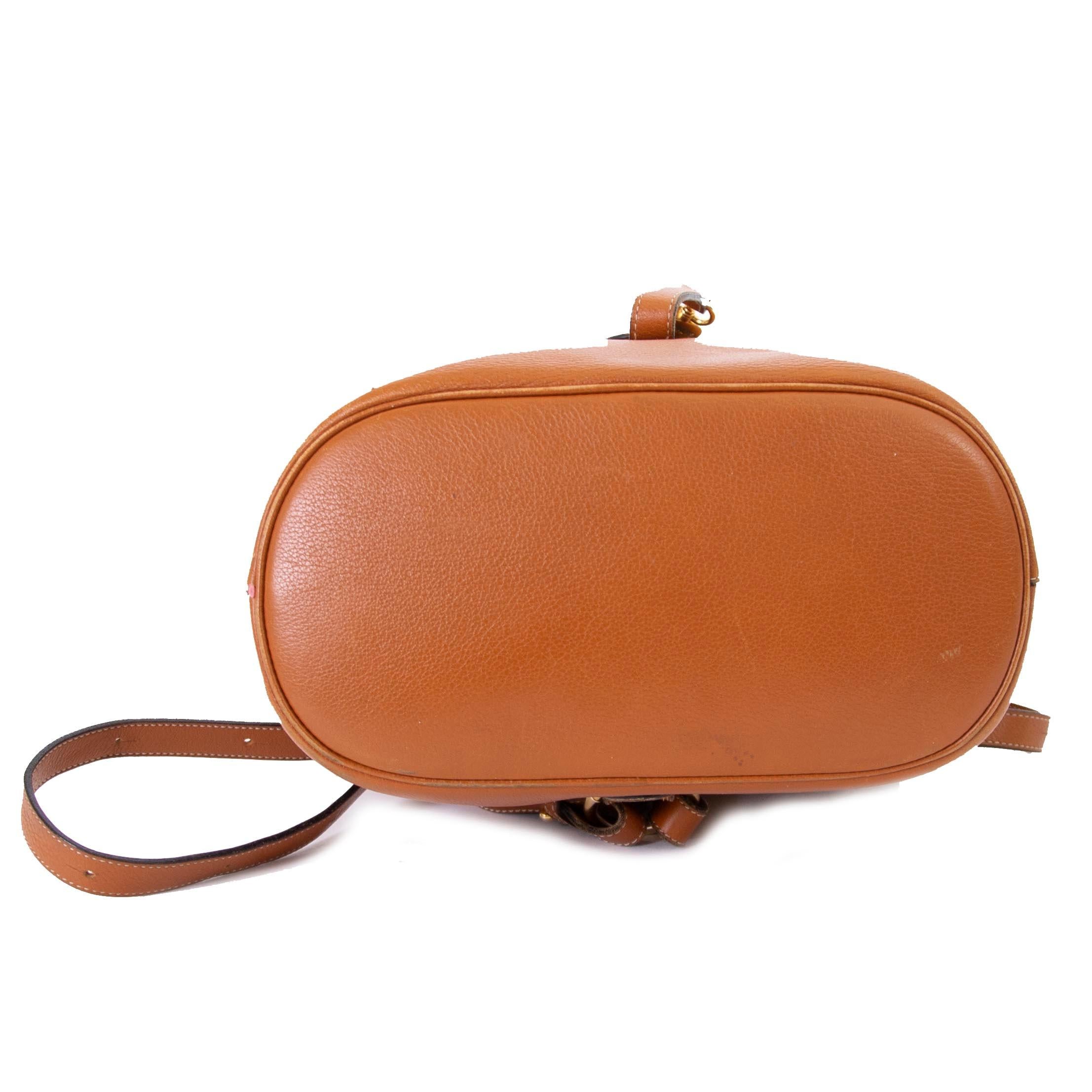 Orange Delvaux Camel Leather PM Backpack  For Sale