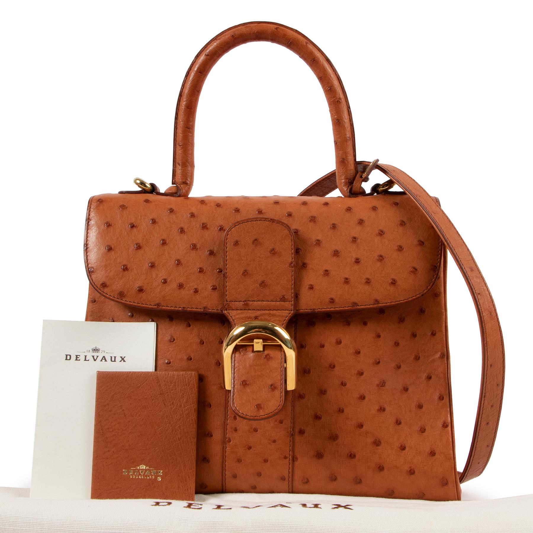 Delvaux Cognac Ostrich MM Brillant + Strap

The Delvaux Brillant, the most iconic and signature design of the house.

This Brillant MM is fashioned in ostrich leather and finished with gold toned details. The front flap contains the classic