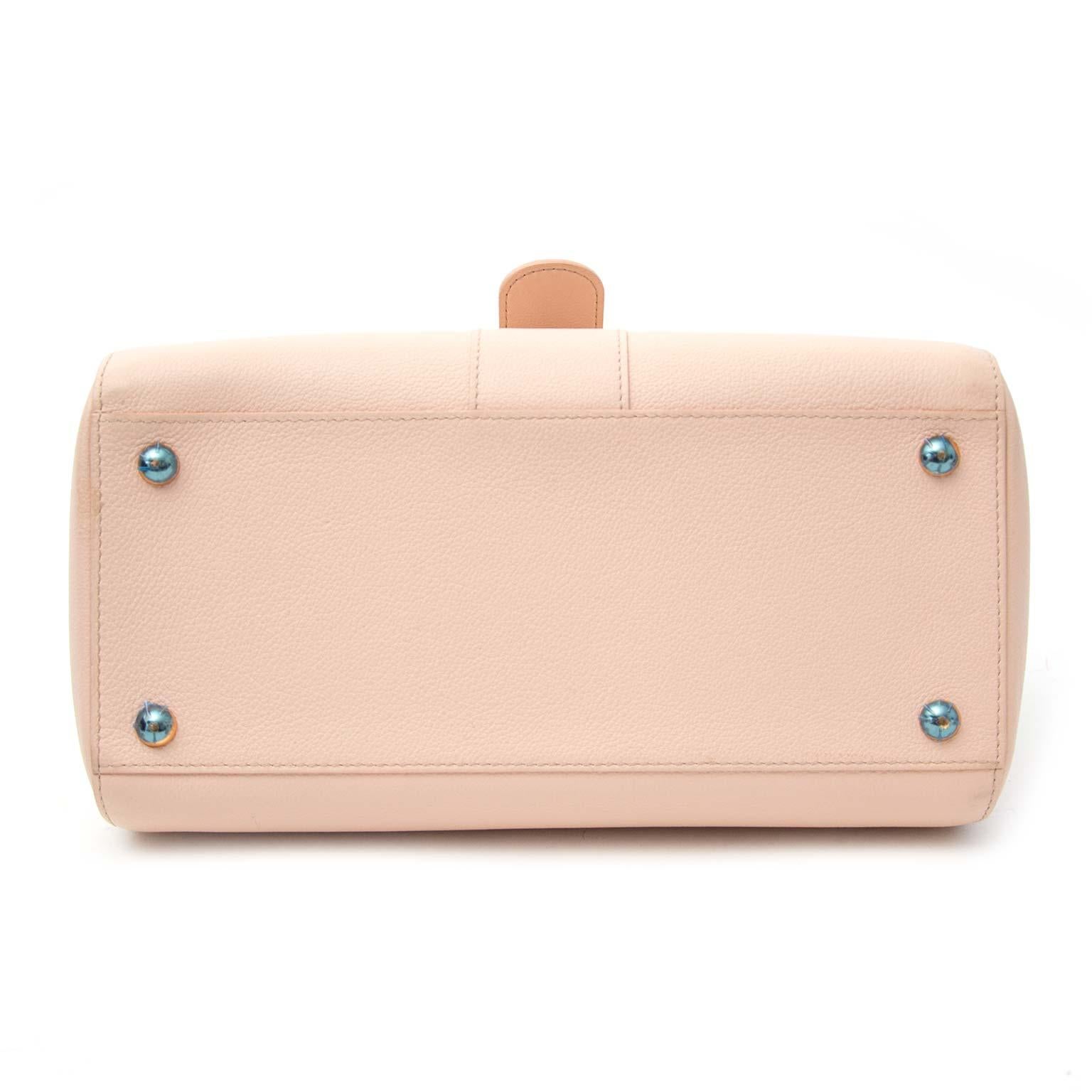 Delvaux Nude Brillant MM + Strap  2