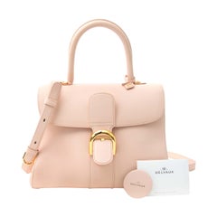 Delvaux Nude Brillant MM + Strap