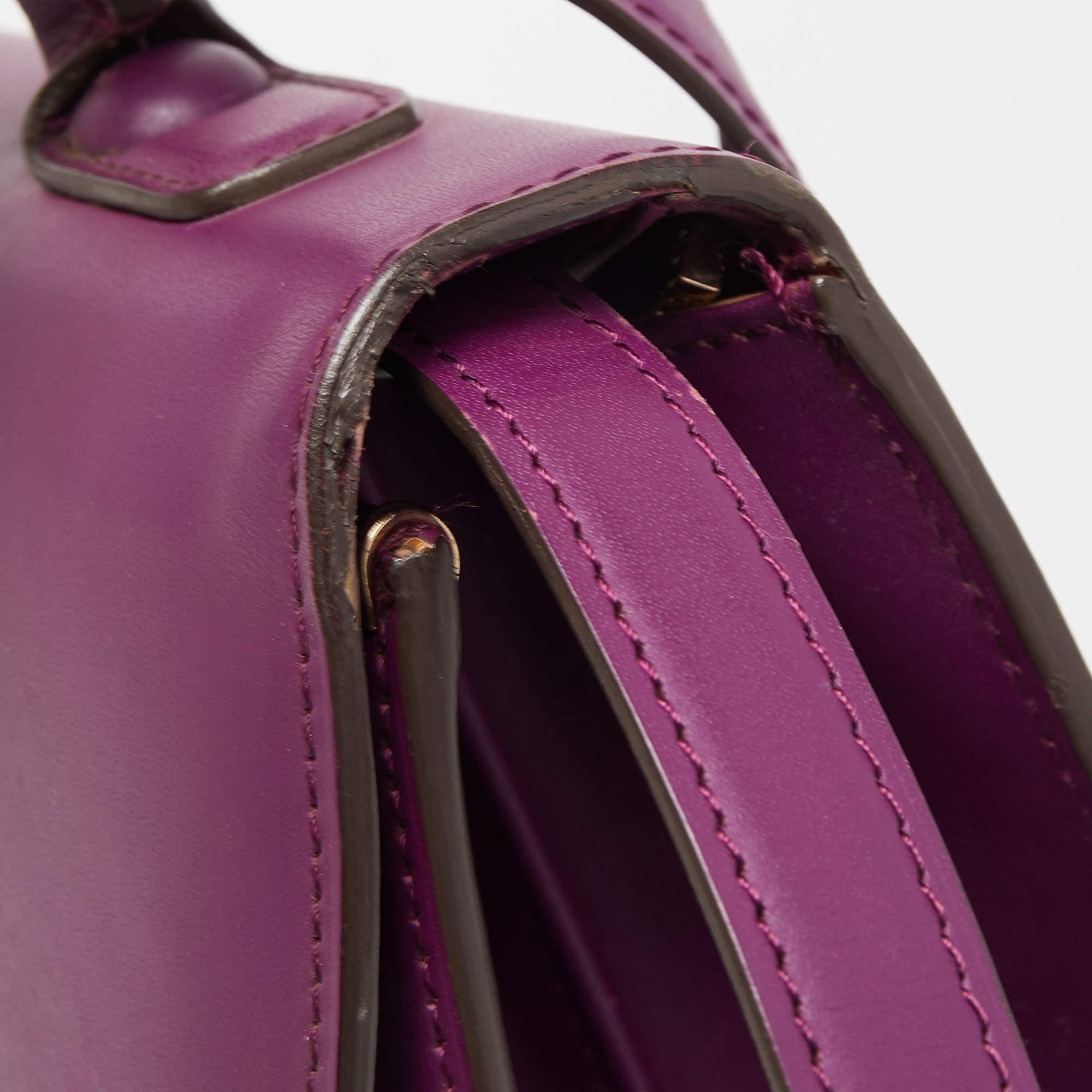 Delvaux Purple Leather Brillant MM Top Handle Bag 13