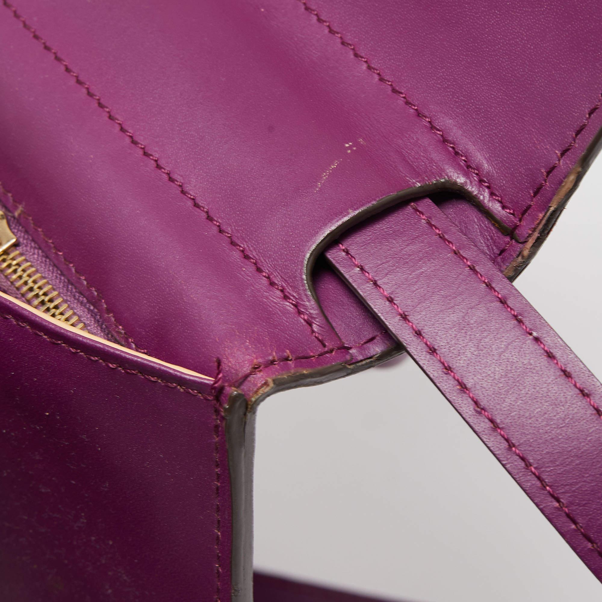 Delvaux Purple Leather Brillant MM Top Handle Bag 3
