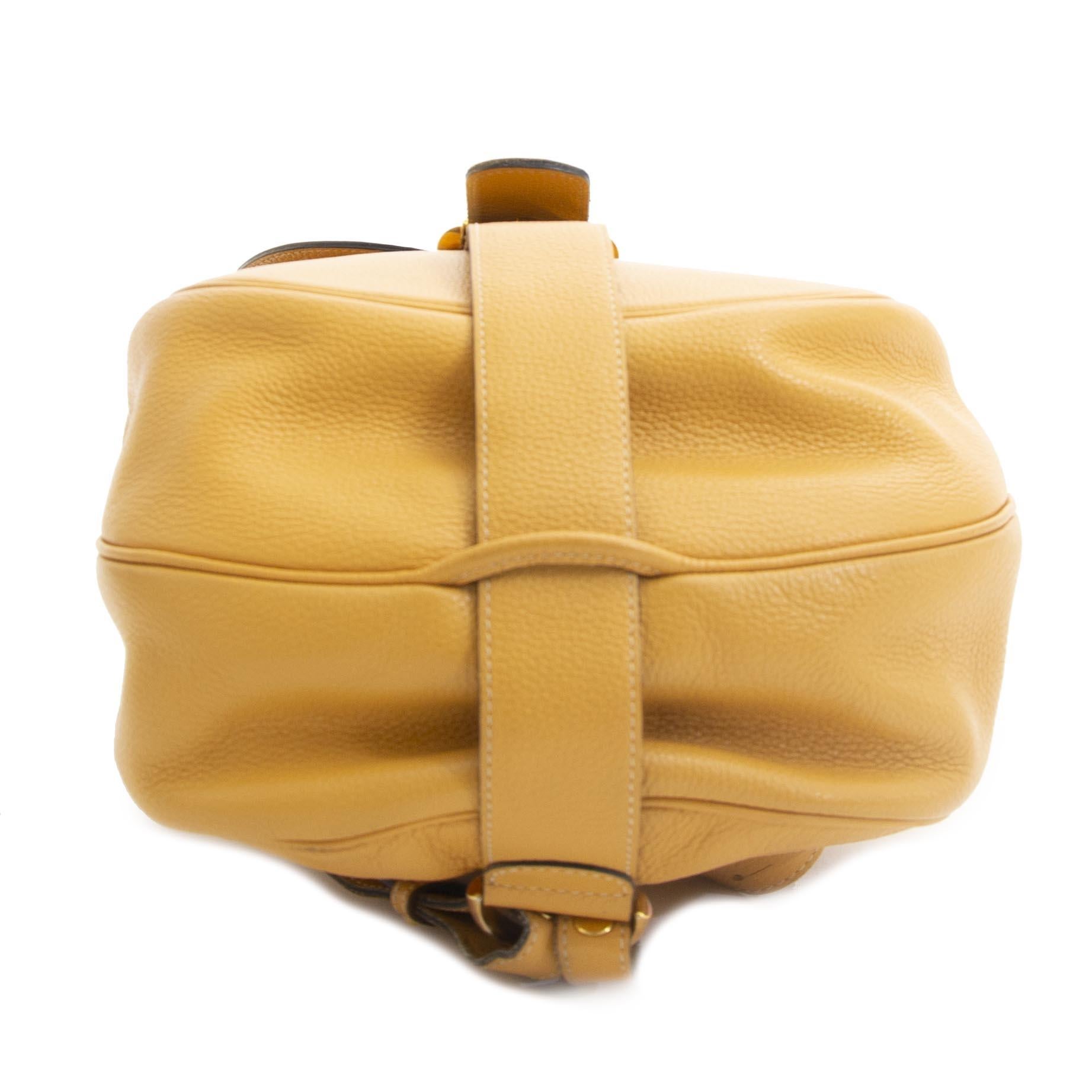 Delvaux Yellow Brillant Backpack 2