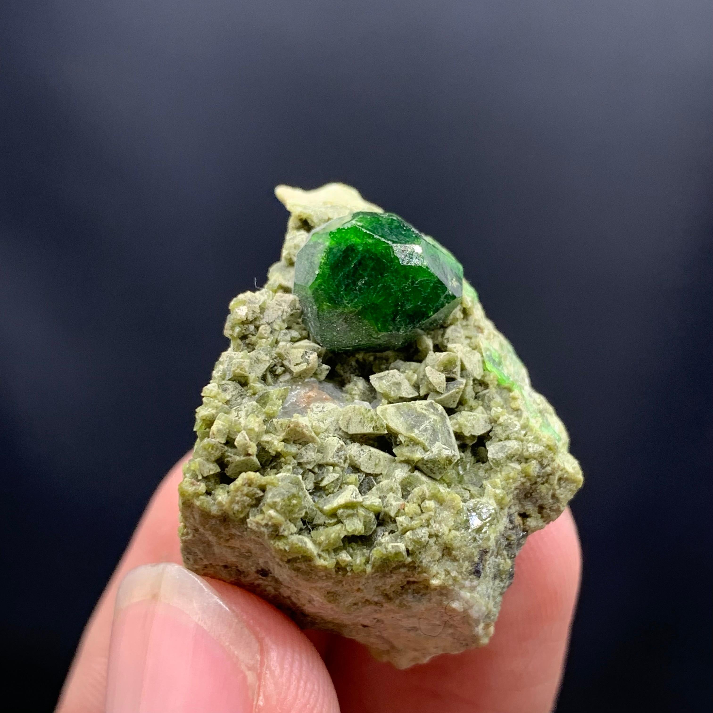 PRODUCT INFORMATION:

Specimen Type: Demantoid Green Garnet Crystal On Matrix
Weight: 16.34 Grams
Dimension: H: 3.2 x W: 2.3 x D: 2 Cm
Origin: Iran
Treatment: None

DESCRIPTION:

Demantoid Green Garnet crystal on matrix from Iran are a true marvel