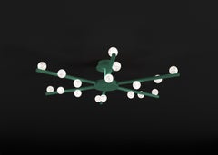 Demetra Freedom Green Metal Ceiling Lamp by Alabastro Italiano