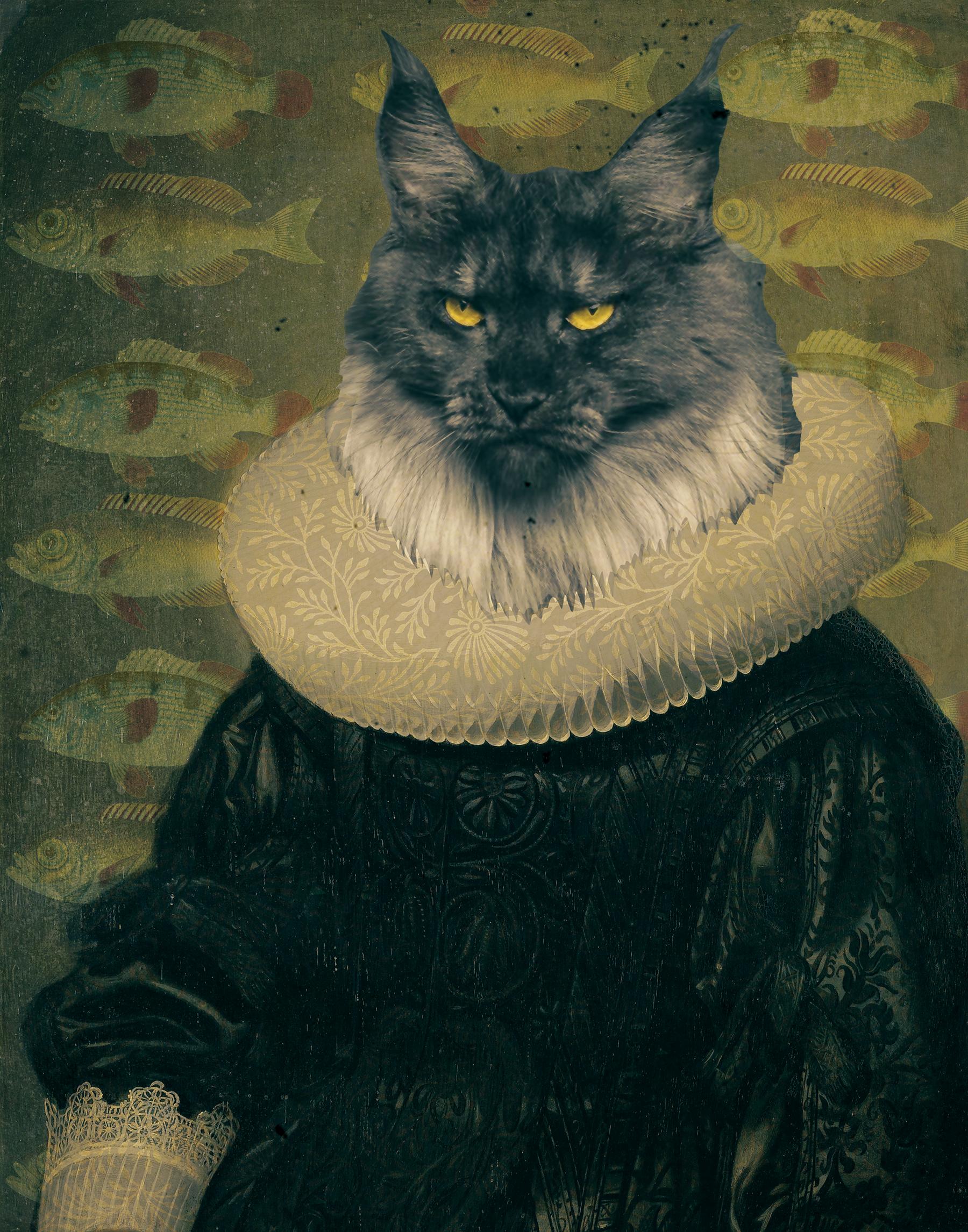 Sir Cat by Deming King Harriman, animal art, fish, paper, print