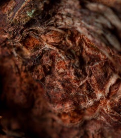 "Demonio del odio", edición limitada, fotografía abstracta de Marko Milić