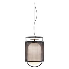 Denglong T GR Suspension Lamp by Parachilna