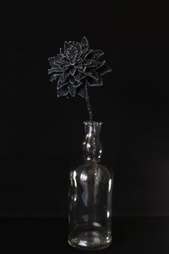Denim Dahlia1