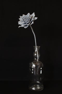 Denim Dahlia2