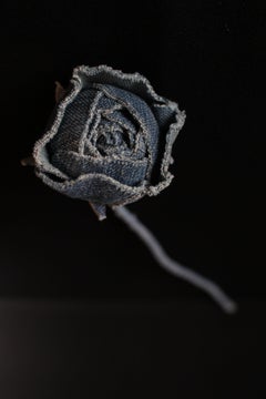 Denim Flower Rose Apricot Foundation