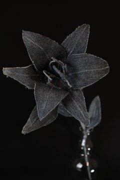 Denim Lily Casablanca2
