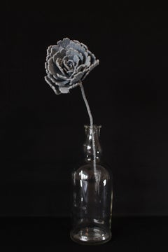 Denim Peony1