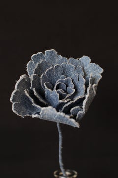 Denim Peony2