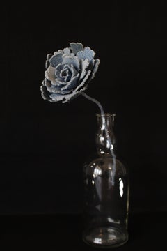 Denim Peony3