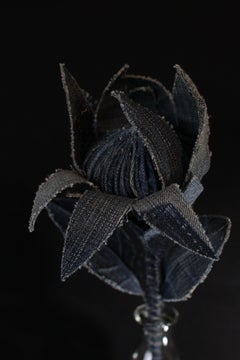 Denim Protea1