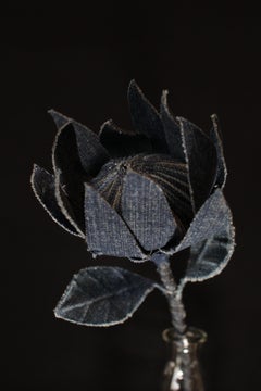 Denim Protea2