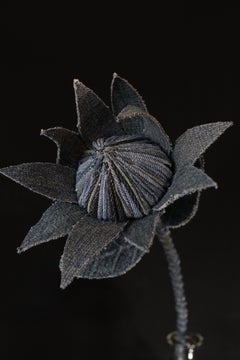 Denim Protea3