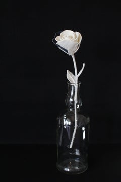 Denim Rose2