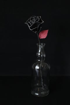 Denim Rose4
