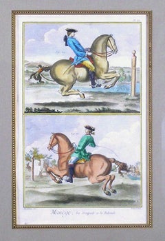 Pl. IX  Manege (Horsemanship)