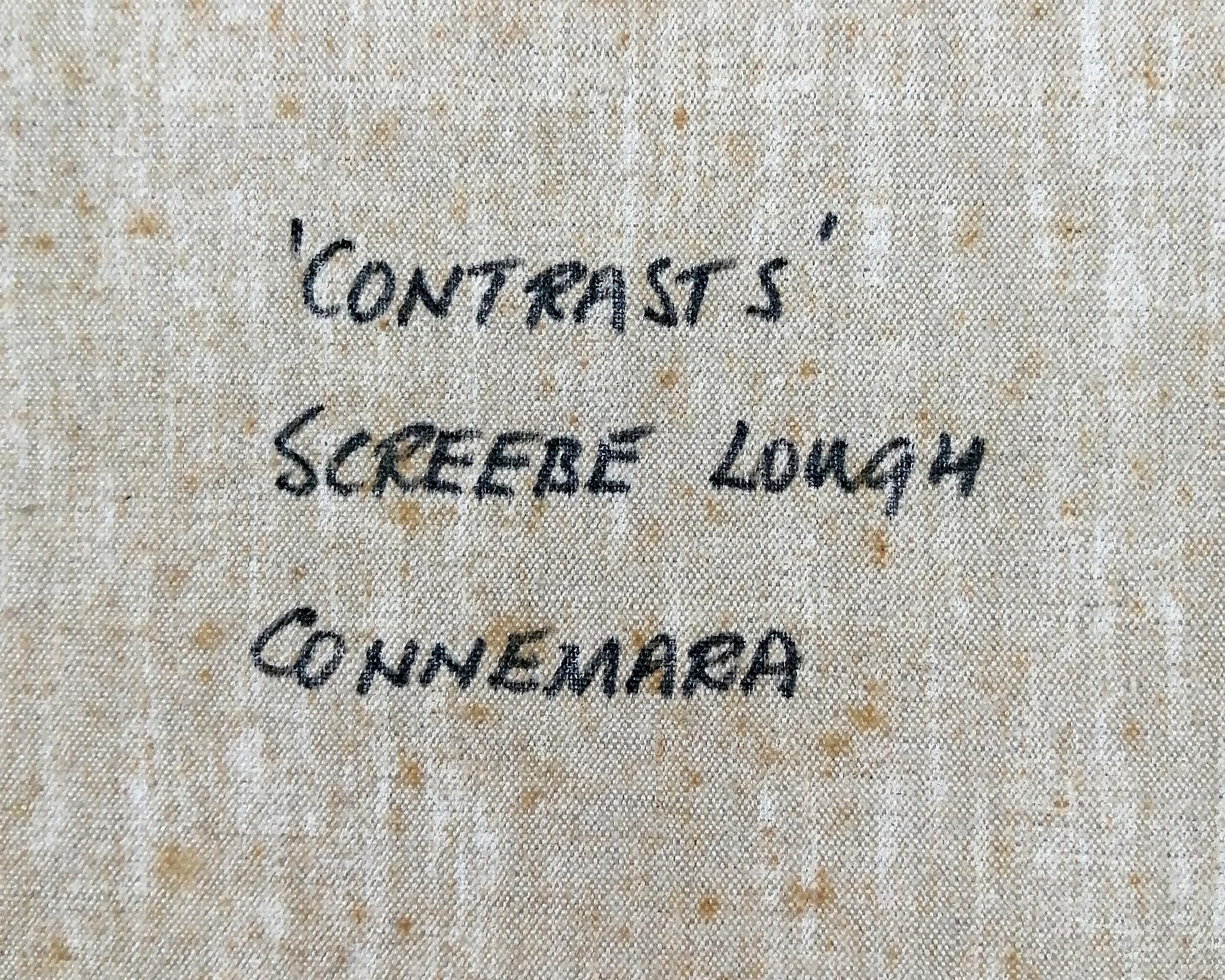 Contrasti, Screebe Lough Connemera - Grande dipinto di paesaggio irlandese del XX secolo 6