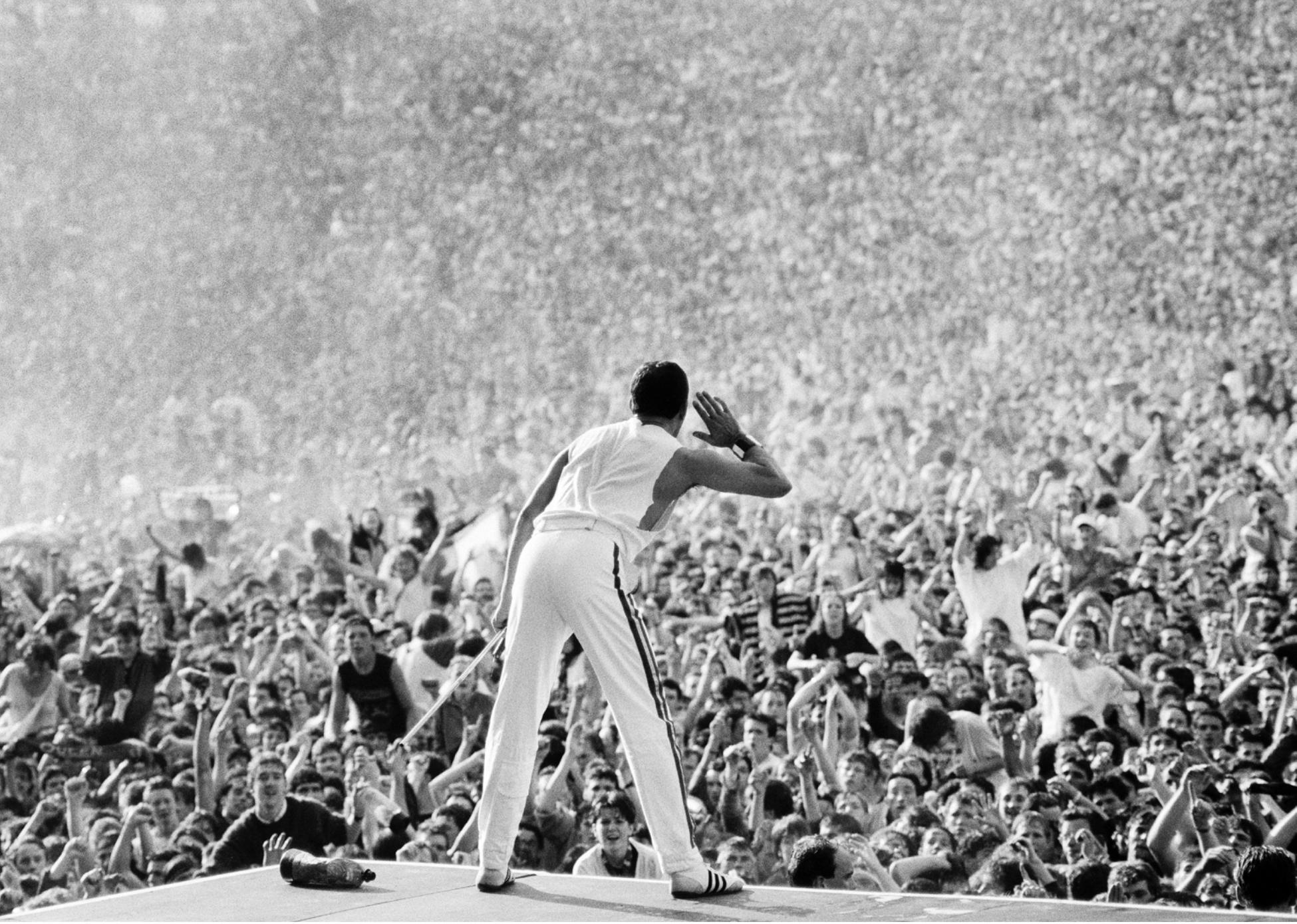 Freddie Mercury dei Queen di Denis O'Regan