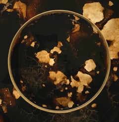 Denis Perrollaz Ambre Plate in Mixed-Media on Brass