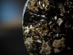 Denis Perrollaz Magic Tree in Mixed-Media on Wood