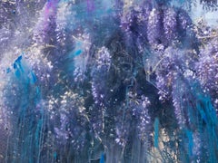 Wisteria Sinensis, Castillo de Padiès, Francia