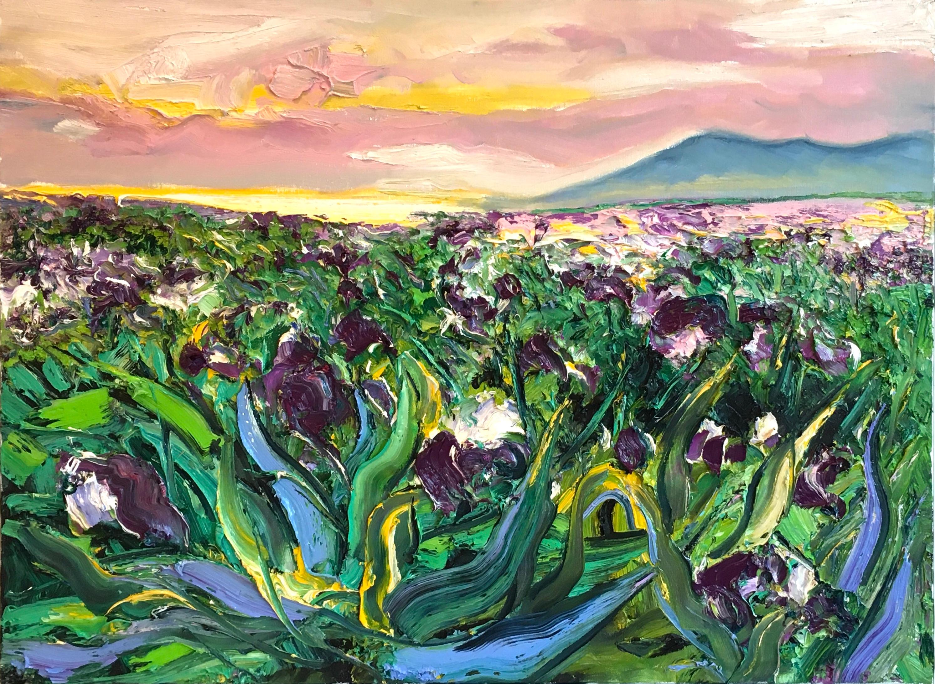 Landscape Painting Denis Ribas  - Champ d'iris - Peinture à l'huile originale impressionniste paysage floral - Art contemporain