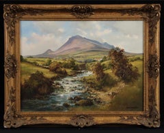 The Annalong River, Binnian Mountain, County Down, Ireland Oil Painting