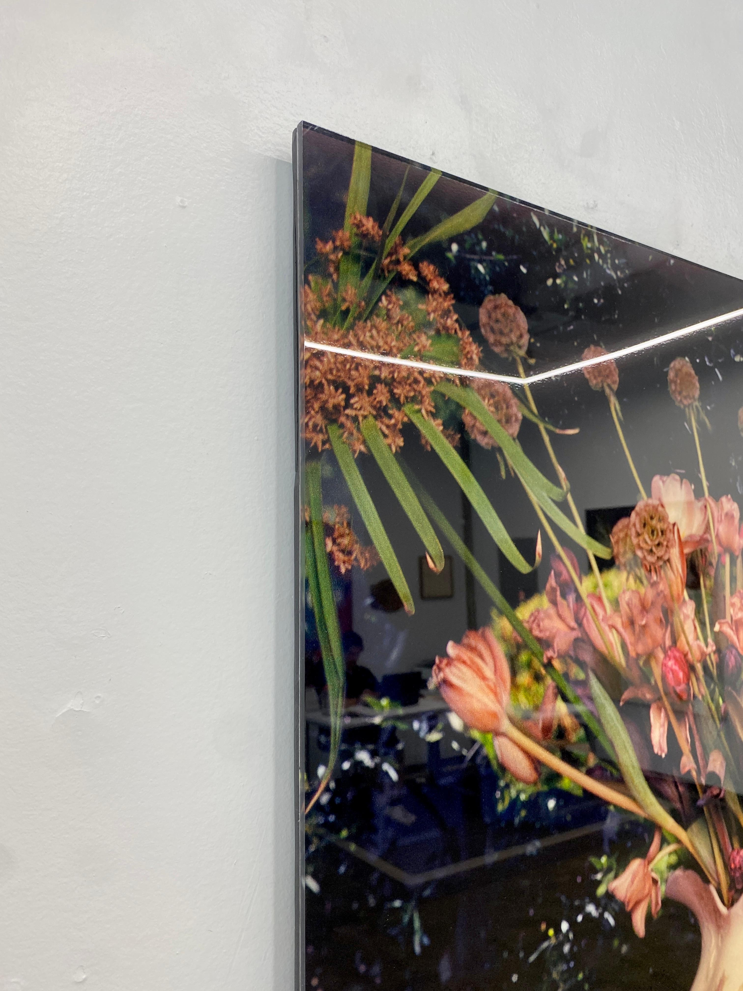 Konzeptuelles Stillleben mit scharlachrotem Ibis, zeitgenössische Fotografie, Plexiglasmontiert im Angebot 2