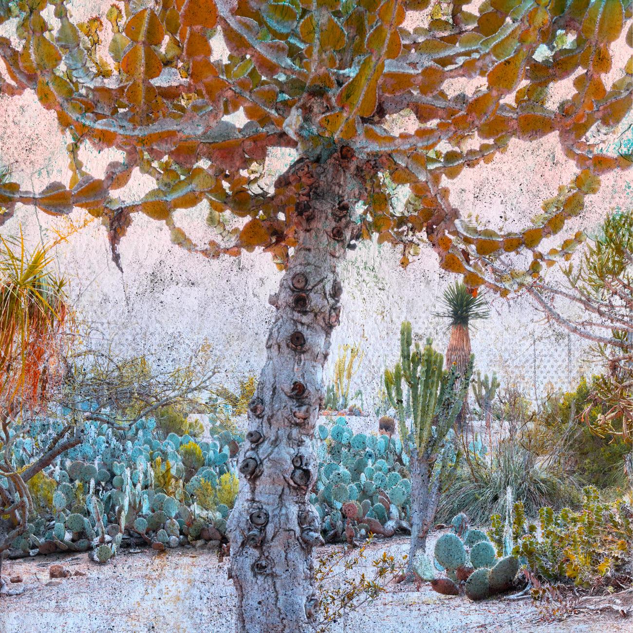 Color Composite Digital Landscape Print, 