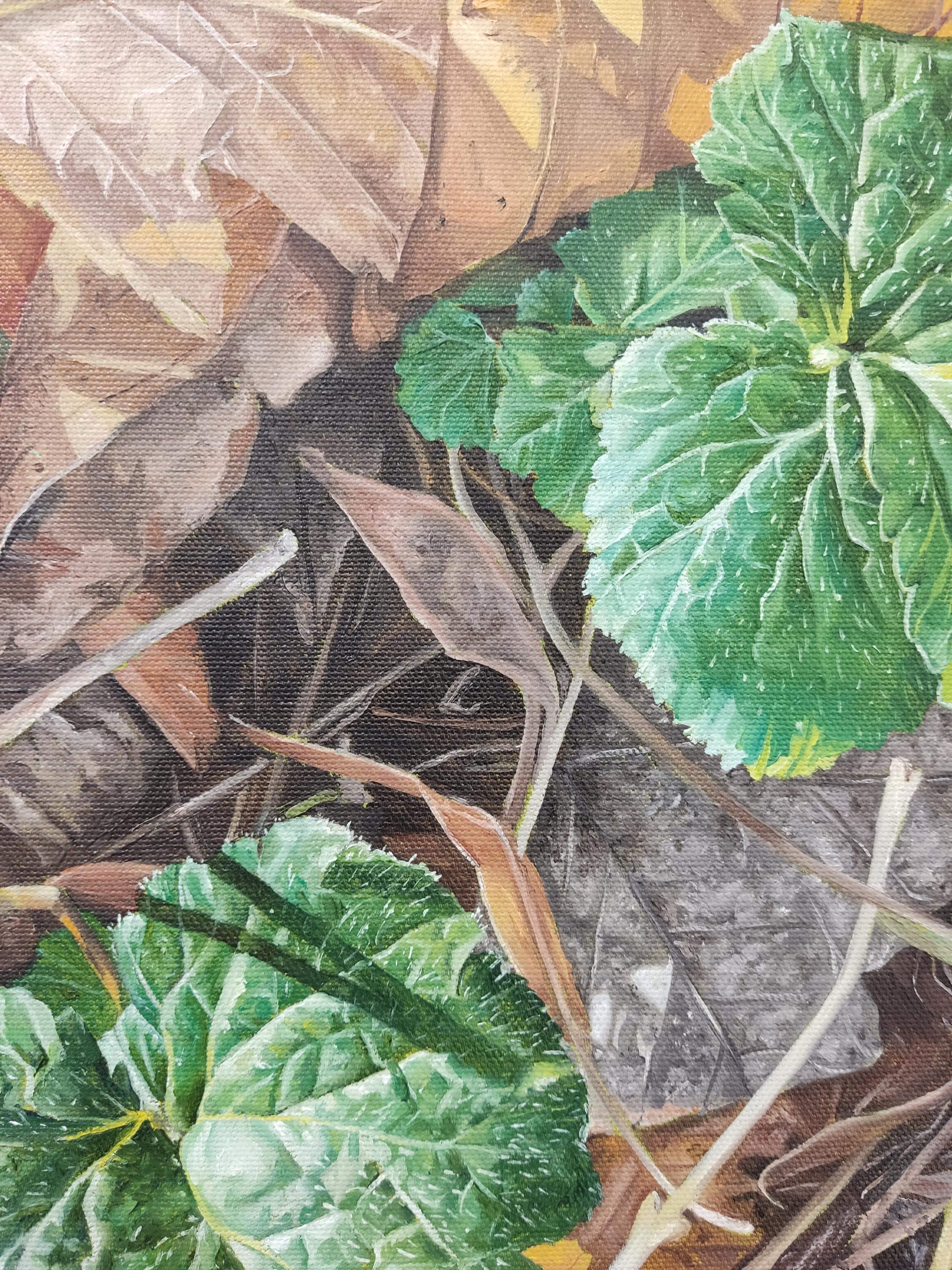 Décembre, Olio su tela, Pittura contemporanea, Fogliame alla luce del sole, Natura viva - Painting di Deniz Bayav