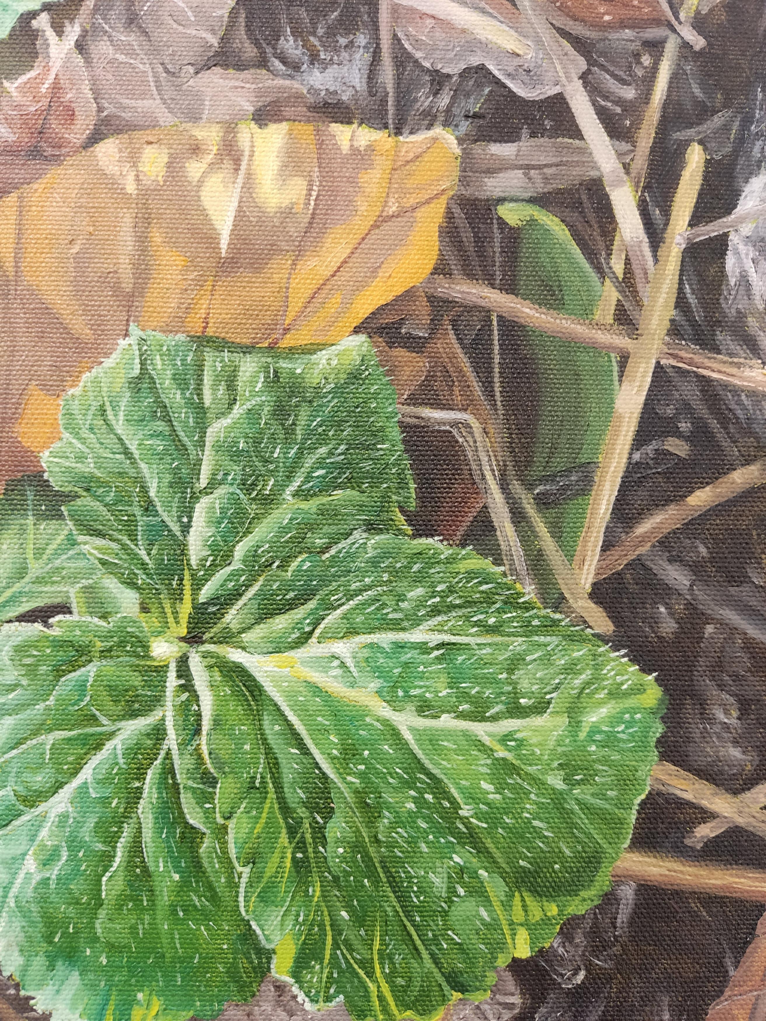 Décembre, Olio su tela, Pittura contemporanea, Fogliame alla luce del sole, Natura viva - Painting Contemporaneo di Deniz Bayav