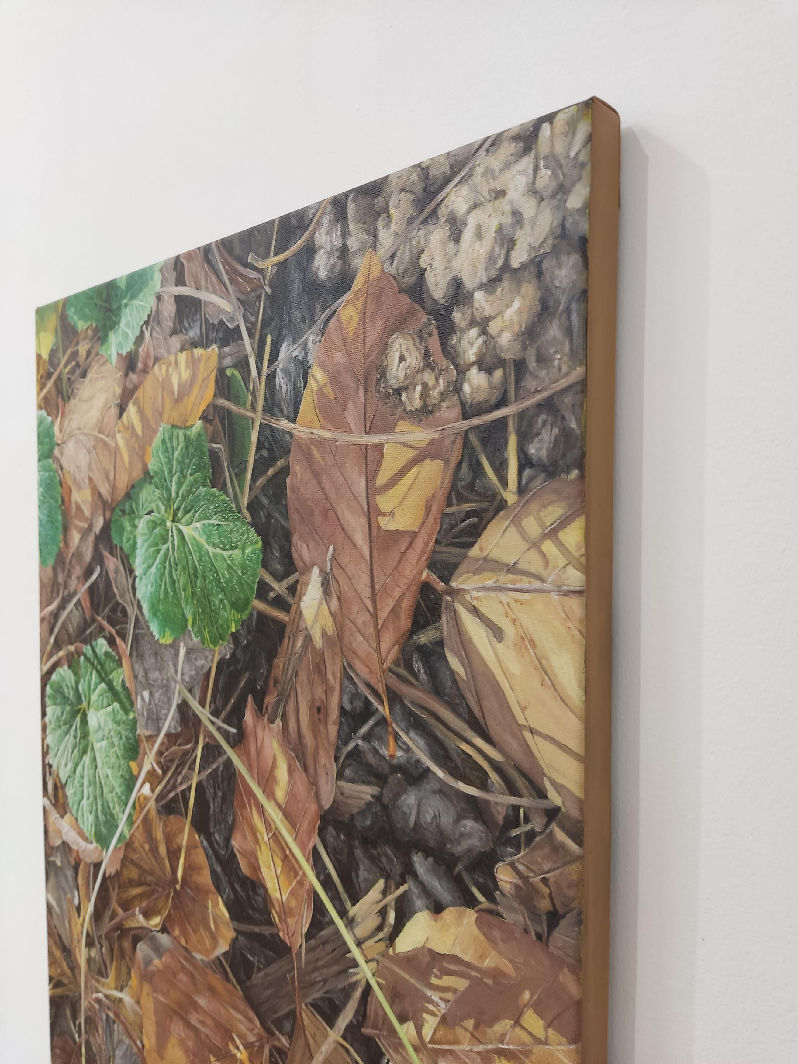 Décembre, Olio su tela, Pittura contemporanea, Fogliame alla luce del sole, Natura viva in vendita 1