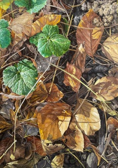Décembre, Olio su tela, Pittura contemporanea, Fogliame alla luce del sole, Natura viva