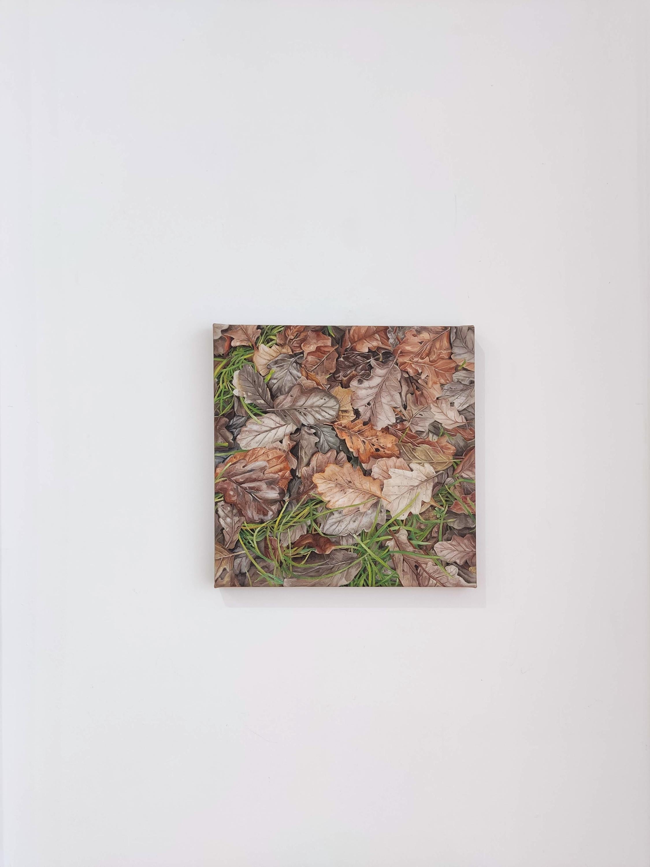Fine dicembre, Pittura a olio su tela, Foglie, Foresta, Nature realistiche, Botanica - Painting di Deniz Bayav