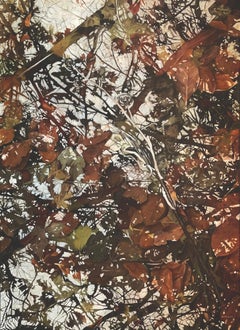 La Terre, Le Ciel, Olio su tela, Pittura contemporanea, Acqua, Riflessioni