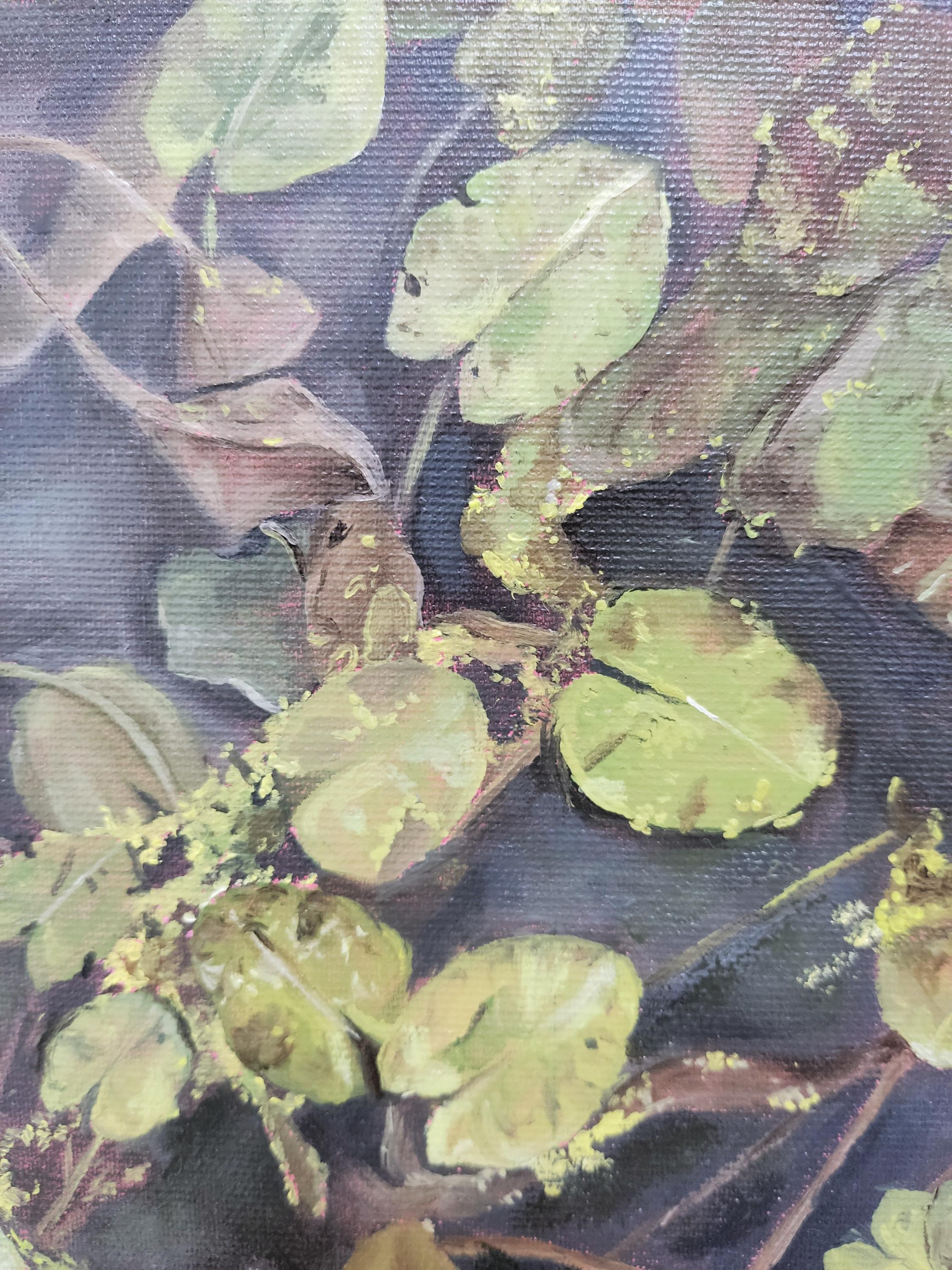 Nenuphar, Öl auf Leinwand, Zeitgenössische Malerei, Seerose, Nature – Painting von Deniz Bayav