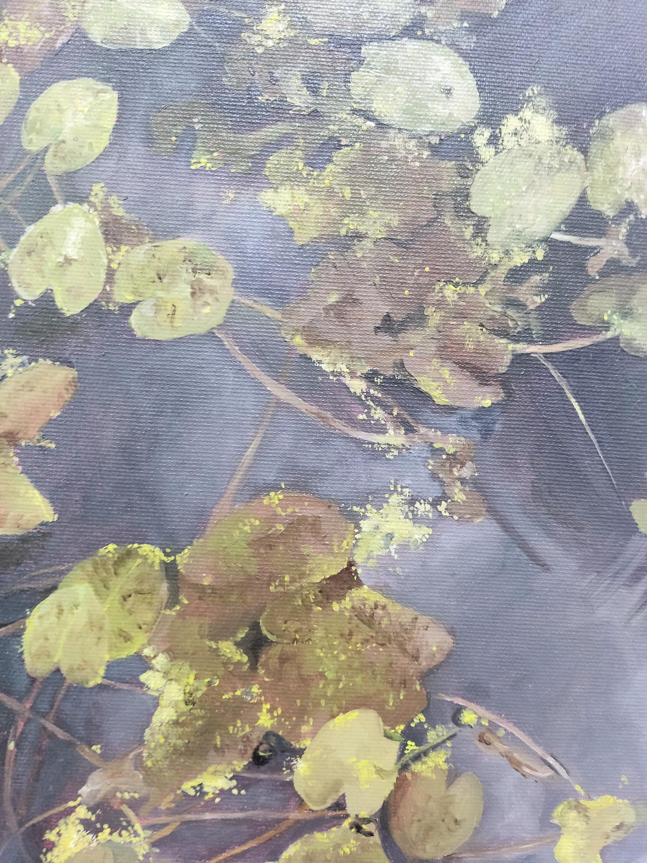 Nenuphar, Öl auf Leinwand, Zeitgenössische Malerei, Seerose, Nature (Grau), Figurative Painting, von Deniz Bayav