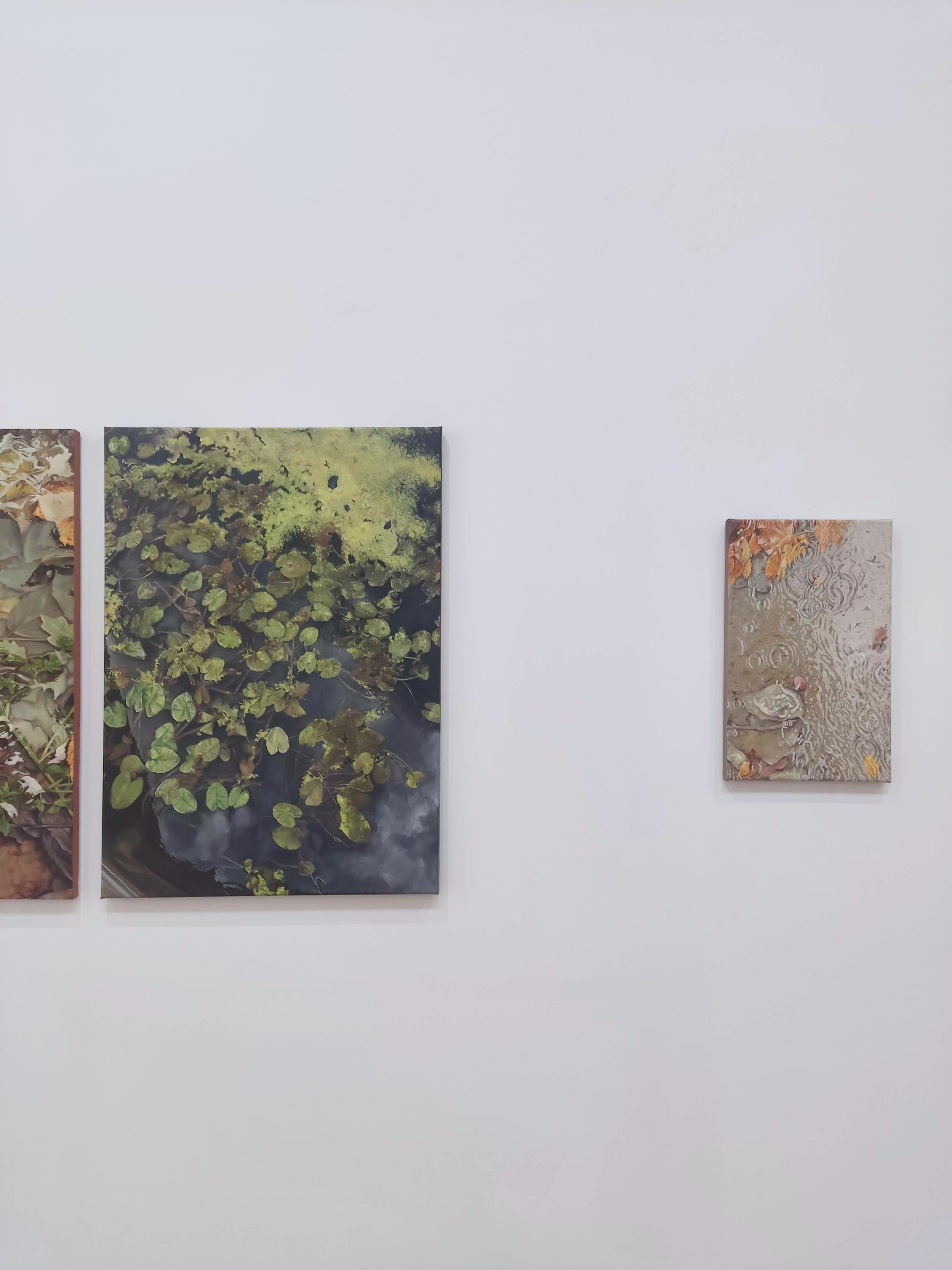 Nenuphar, Öl auf Leinwand, Zeitgenössische Malerei, Seerose, Nature im Angebot 5