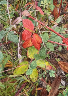 Red and Green Oil Painting on Canvas, Forest Undergrowth, 70x50cm