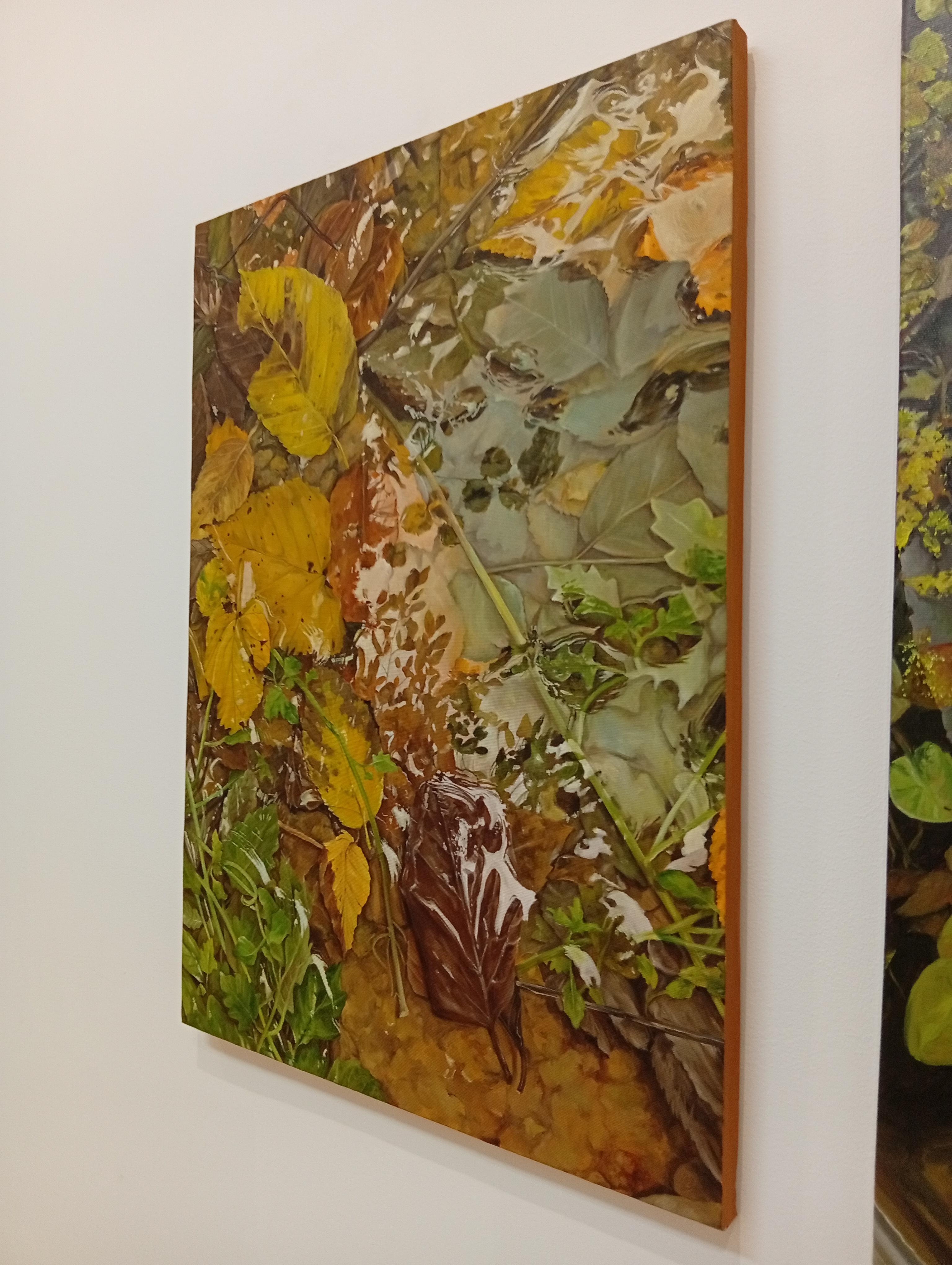 Reflet, Contemporary Original Painting, Acrylic and Oil, Realist, Natural Art - Brown Landscape Painting by Deniz Bayav